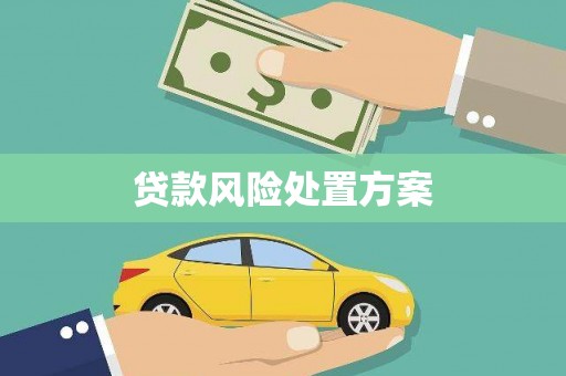 雁江贷款风险处置方案