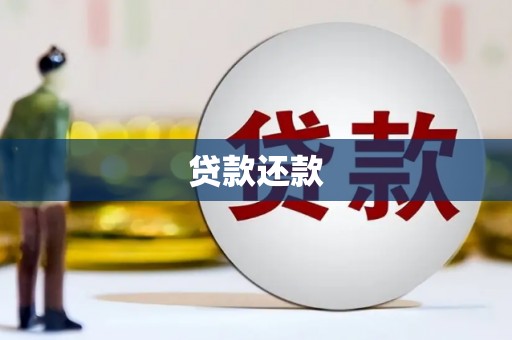 雁江贷款还款