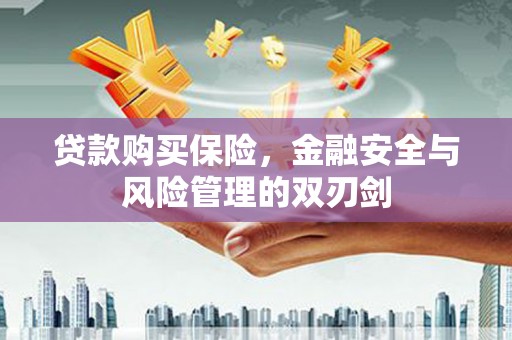 雁江贷款购买保险，金融安全与风险管理的双刃剑