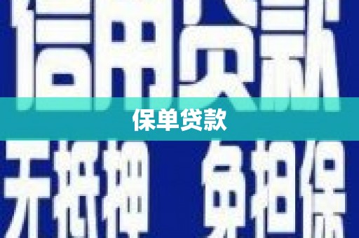 雁江保单贷款