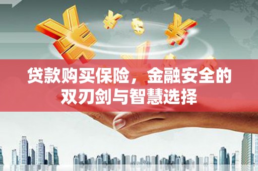 雁江贷款购买保险，金融安全的双刃剑与智慧选择