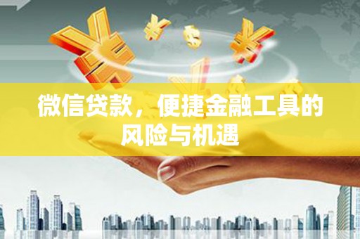 雁江微信贷款，便捷金融工具的风险与机遇