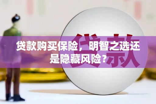 雁江贷款购买保险，明智之选还是隐藏风险？