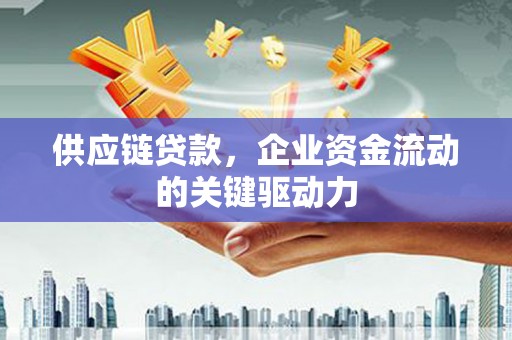 雁江供应链贷款，企业资金流动的关键驱动力