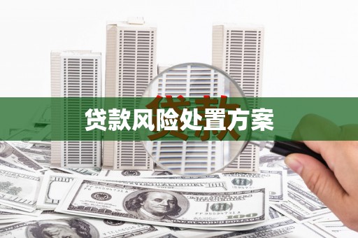 雁江贷款风险处置方案