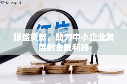 雁江银盛贷款，助力中小企业发展的金融利器