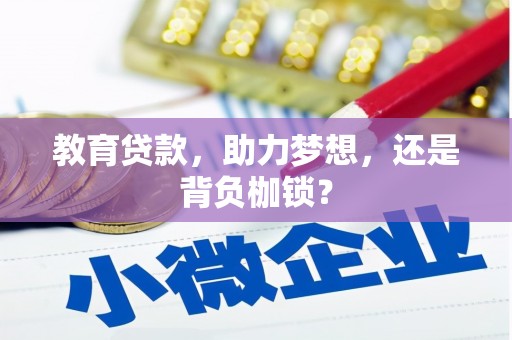 雁江教育贷款，助力梦想，还是背负枷锁？