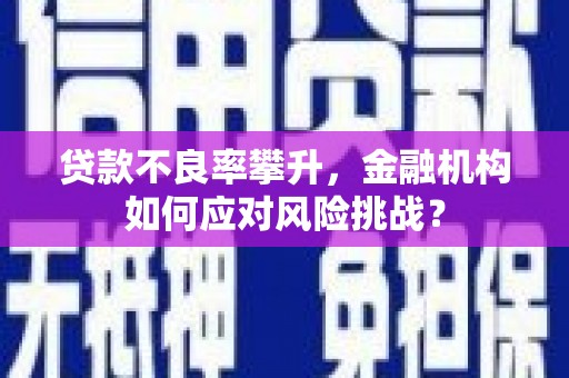 雁江贷款不良率攀升，金融机构如何应对风险挑战？