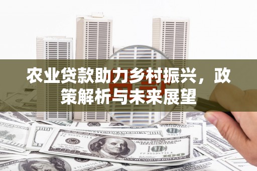 雁江农业贷款助力乡村振兴，政策解析与未来展望