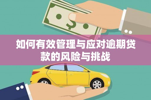 雁江如何有效管理与应对逾期贷款的风险与挑战