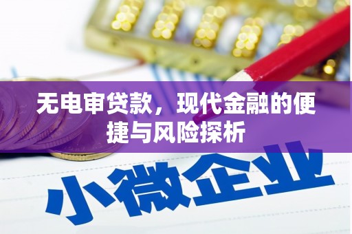 雁江无电审贷款，现代金融的便捷与风险探析