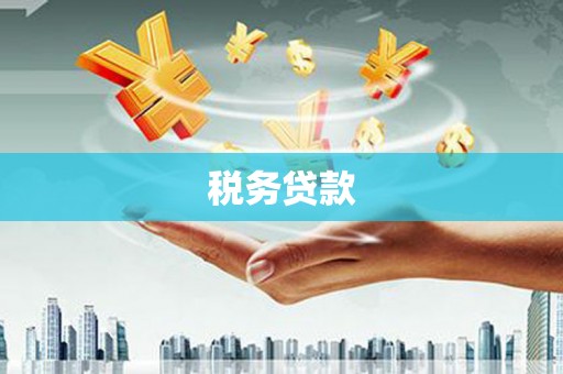 雁江税务贷款