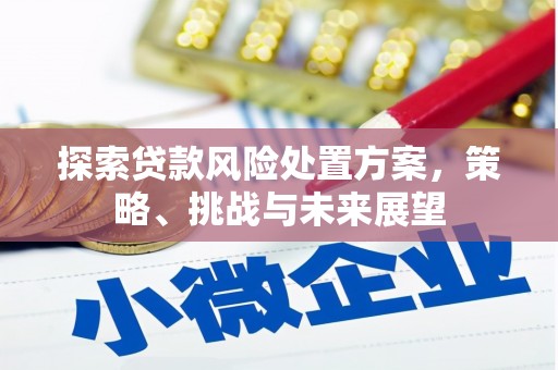 雁江探索贷款风险处置方案，策略、挑战与未来展望