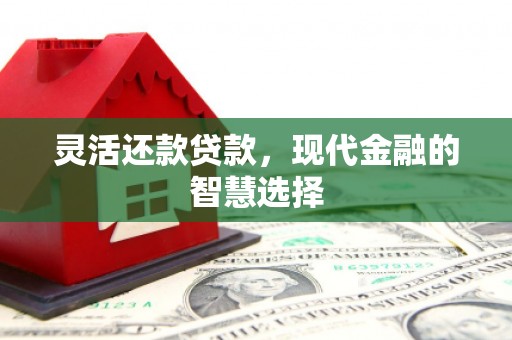 雁江灵活还款贷款，现代金融的智慧选择