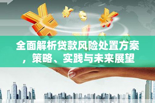 雁江全面解析贷款风险处置方案，策略、实践与未来展望