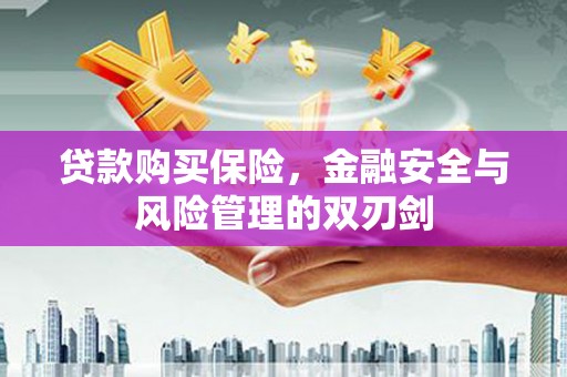 雁江贷款购买保险，金融安全与风险管理的双刃剑