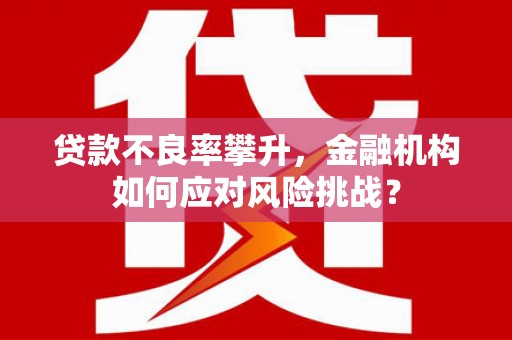 雁江贷款不良率攀升，金融机构如何应对风险挑战？