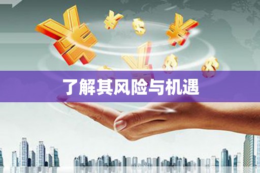 雁江了解其风险与机遇