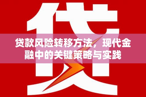 雁江贷款风险转移方法，现代金融中的关键策略与实践