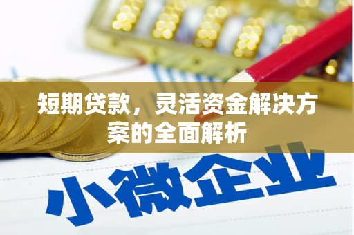 雁江短期贷款，灵活资金解决方案的全面解析