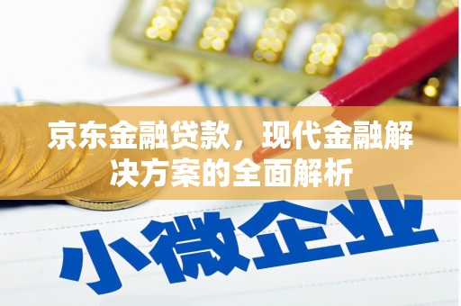 雁江京东金融贷款，现代金融解决方案的全面解析