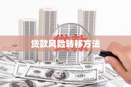 雁江贷款风险转移方法