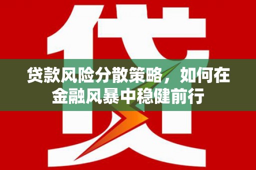 雁江贷款风险分散策略，如何在金融风暴中稳健前行