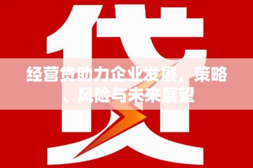 雁江经营贷助力企业发展，策略、风险与未来展望