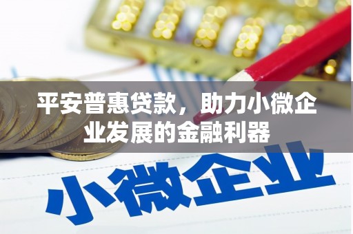 雁江平安普惠贷款，助力小微企业发展的金融利器