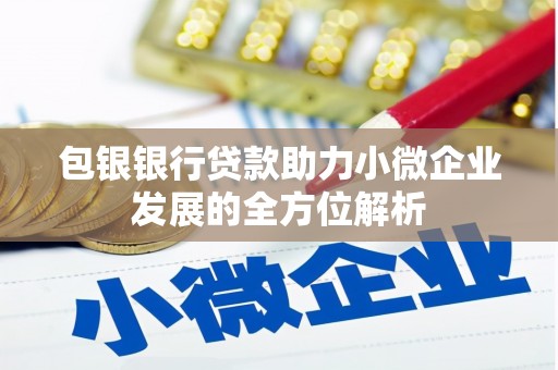 雁江包银银行贷款助力小微企业发展的全方位解析