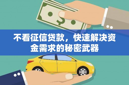 雁江不看征信贷款，快速解决资金需求的秘密武器