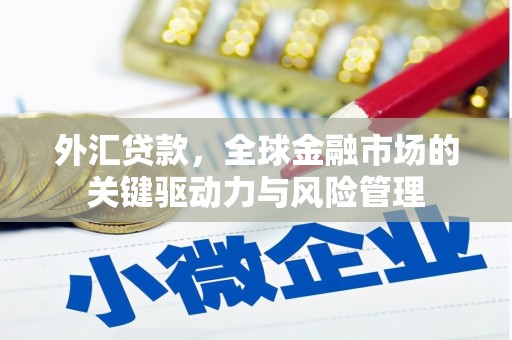 雁江外汇贷款，全球金融市场的关键驱动力与风险管理