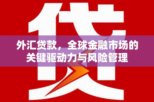 雁江外汇贷款，全球金融市场的关键驱动力与风险管理