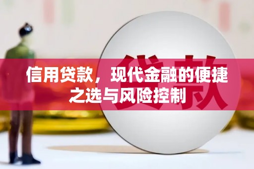 雁江信用贷款，现代金融的便捷之选与风险控制