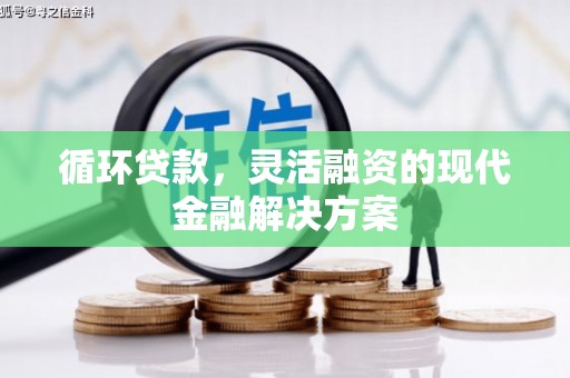 雁江循环贷款，灵活融资的现代金融解决方案