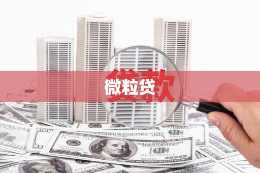 雁江微粒贷