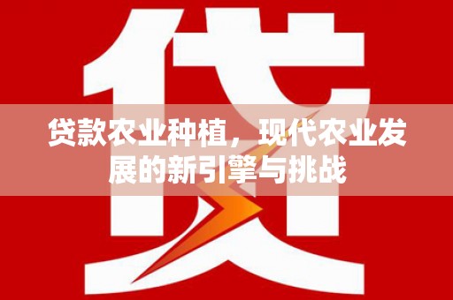 雁江贷款农业种植，现代农业发展的新引擎与挑战