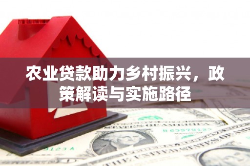 雁江农业贷款助力乡村振兴，政策解读与实施路径
