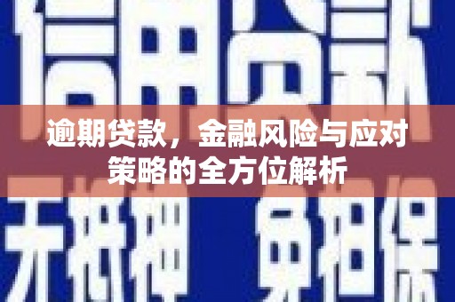 雁江逾期贷款，金融风险与应对策略的全方位解析
