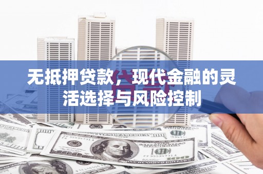 雁江无抵押贷款，现代金融的灵活选择与风险控制