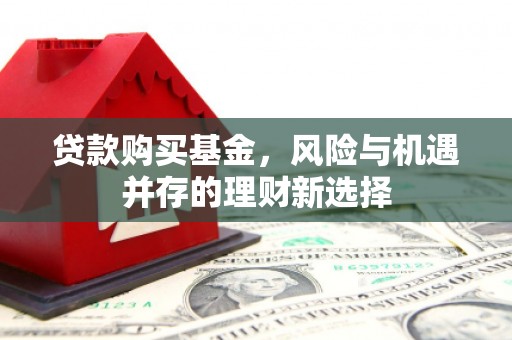 雁江贷款购买基金，风险与机遇并存的理财新选择