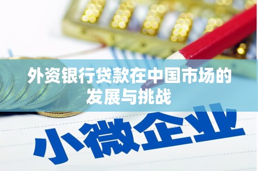雁江外资银行贷款在中国市场的发展与挑战