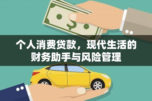 雁江个人消费贷款，现代生活的财务助手与风险管理