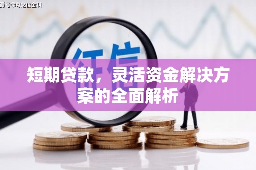 雁江短期贷款，灵活资金解决方案的全面解析