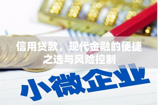 雁江信用贷款，现代金融的便捷之选与风险控制