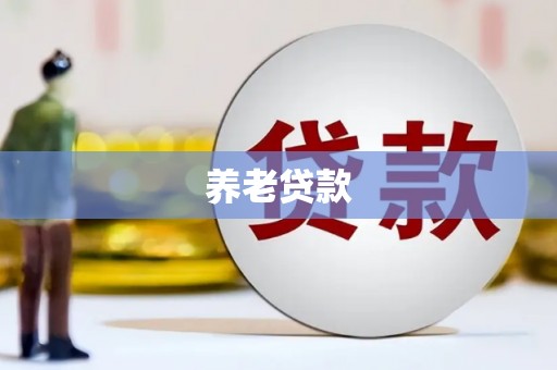 雁江养老贷款