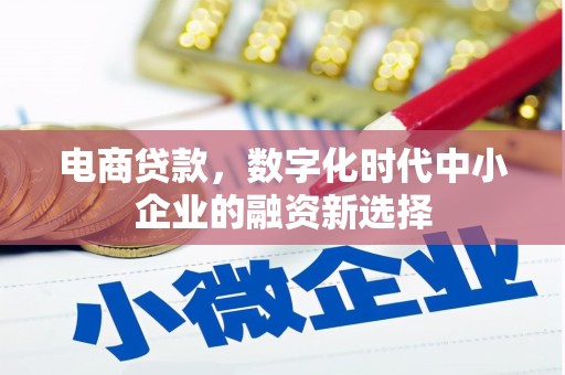 雁江电商贷款，数字化时代中小企业的融资新选择