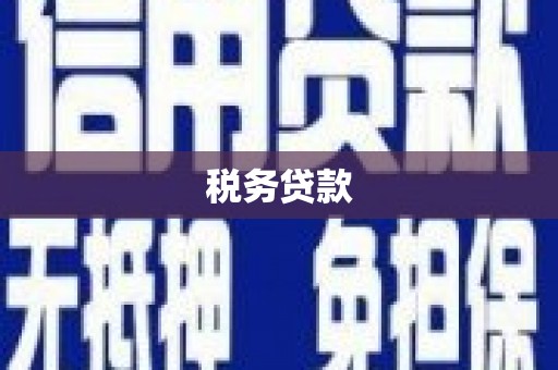雁江税务贷款