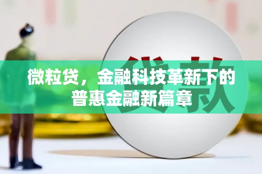 雁江微粒贷，金融科技革新下的普惠金融新篇章