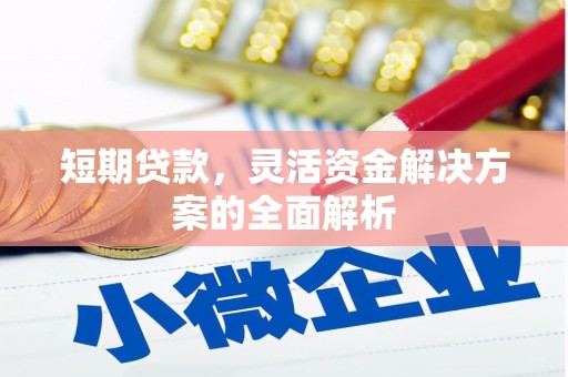 雁江短期贷款，灵活资金解决方案的全面解析